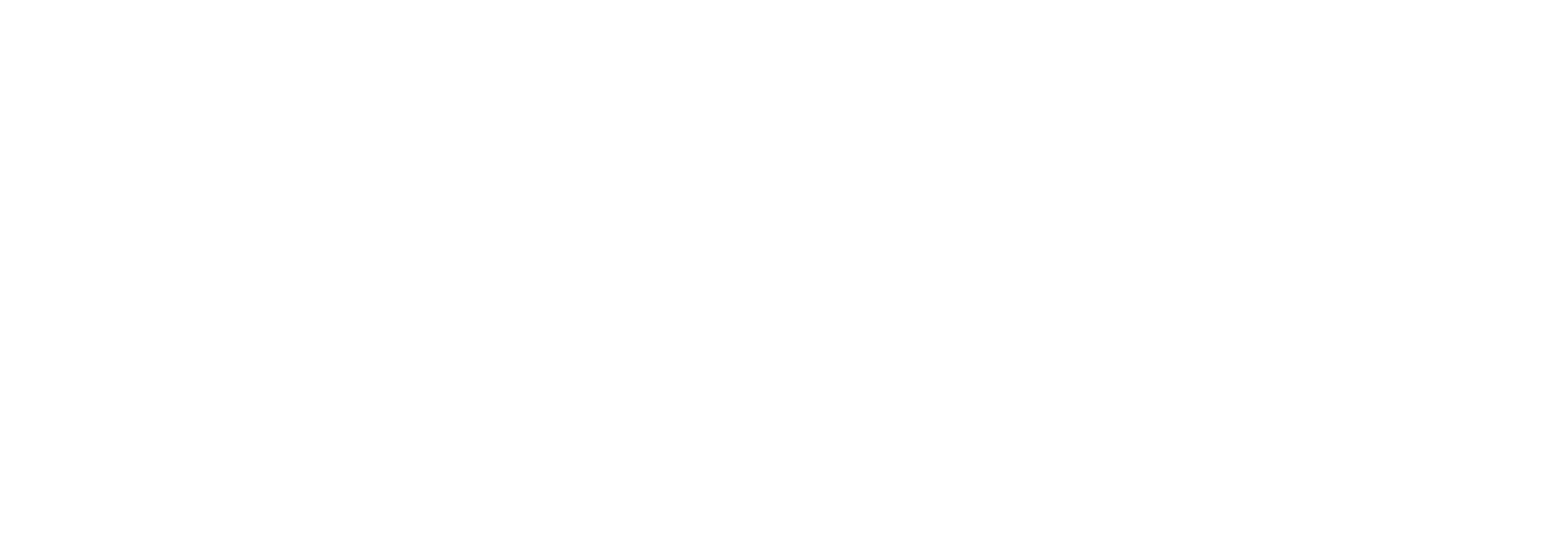 StorageFabric Logo